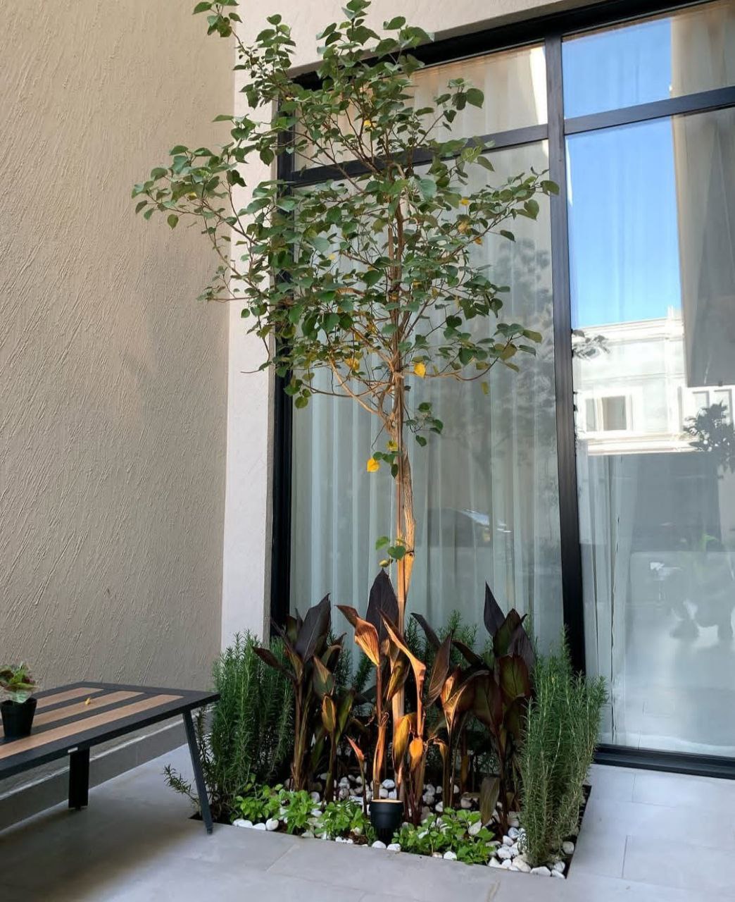 نافورة حديقة